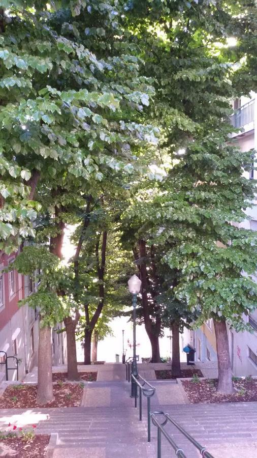 Sunny Orange Garden Apartment In Central Lisbon Exterior photo